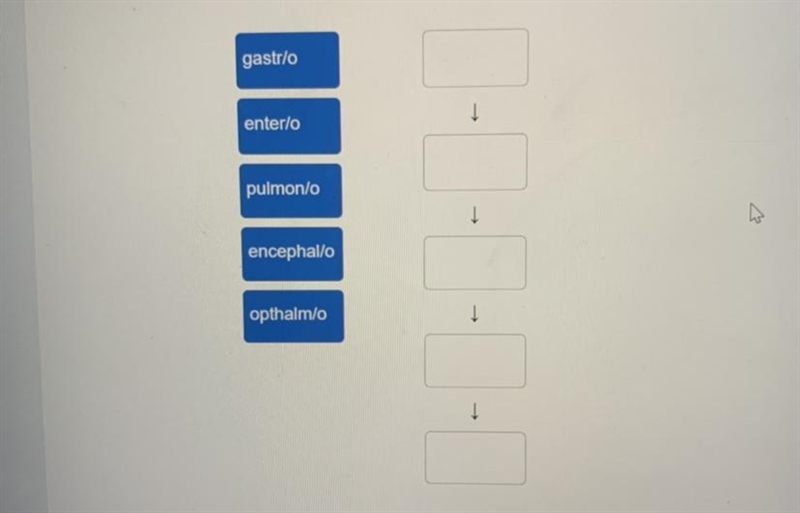 Drag each tile to the correct box. Arrange the medical terms in order going from the-example-1