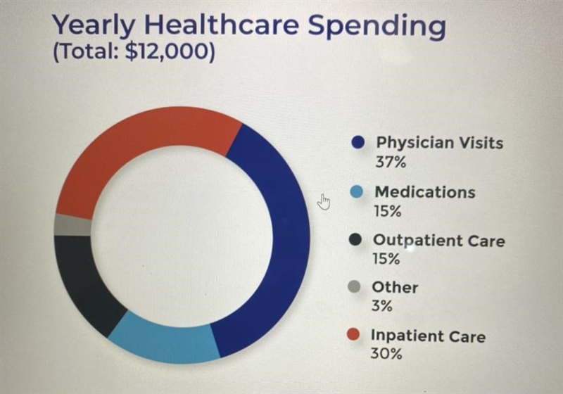 After medications and outpatient care, what percentage is left for other healthcare-example-1