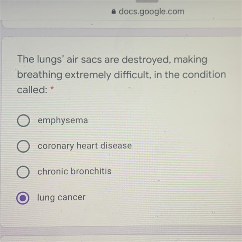 The lungs' air sacs are destroyed, making breathing extremely difficult, in the condition-example-1