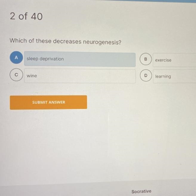Which of these decreases nerurogenesis? °Sleep deprivation °Wine °Exercise °Learning-example-1