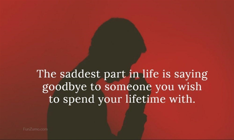 The saddest part in life is saying goodbye to someone you wish to spend your lifetime-example-1