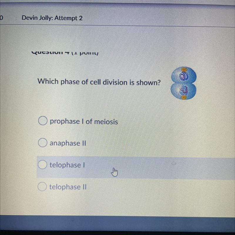 Question 4 Which phase of cell division is shown?-example-1