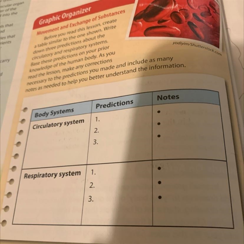 Body Systems Circulatory system Predictions 1. 2. 3. Notes • • • Respiratory system-example-1