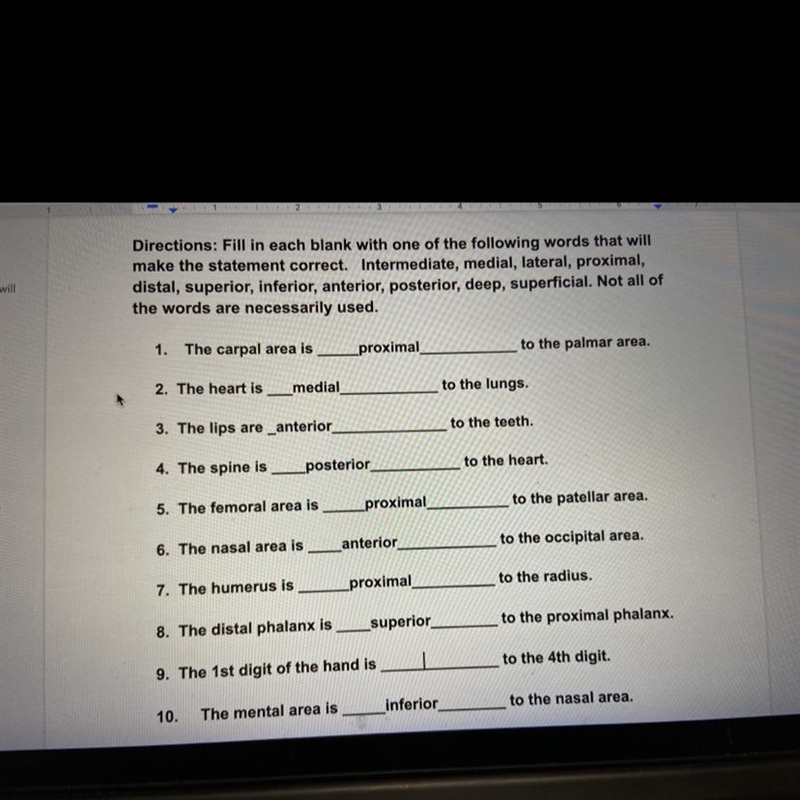 I need help with 9 and 11!!! 11. The muscles are ___ to the bone-example-1