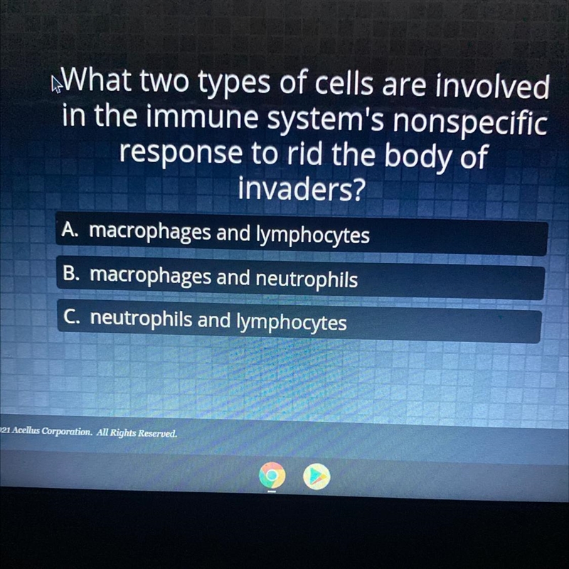 “What two types of cells are involved in the immune system's nonspecific response-example-1