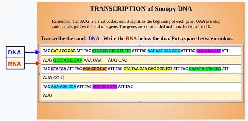 Transcribe the snork DNA. Write the RNA below the dna. Put a space between codons-example-1