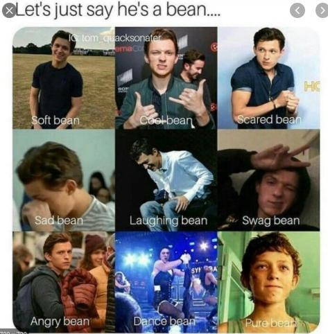 So frig.ging true why we like tom holland is true-example-2