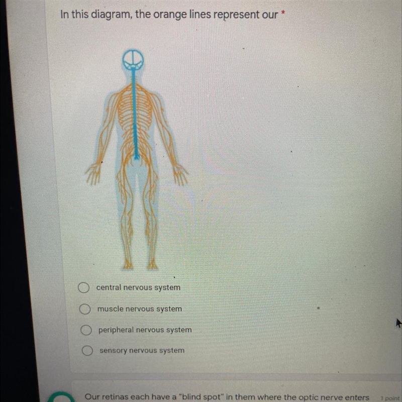 Which one is it? Please help-example-1