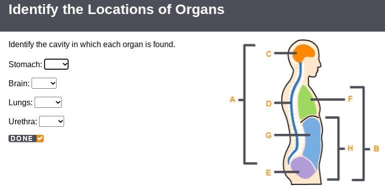 Plzzzzzzzzzzz help fast-example-1