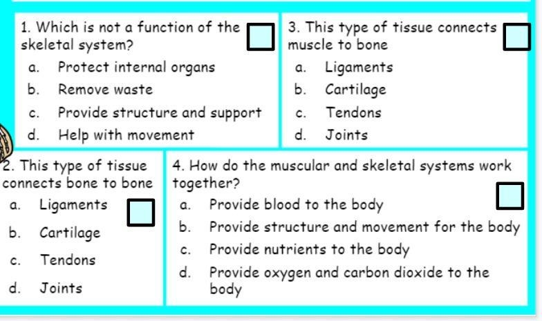 Skeletal system help please:)-example-1