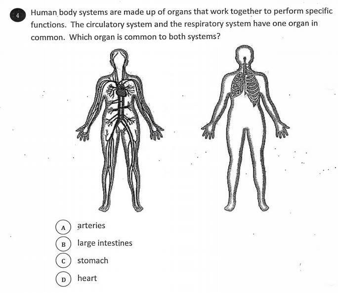 Help with this please.-example-1