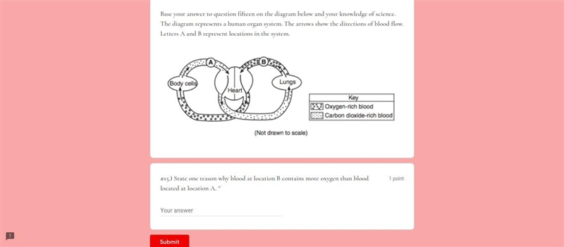 Please help 14 points! thanks to all!-example-1