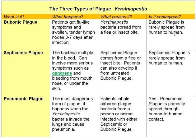 PLEASE HURRY! Summarize the three types of plague presented in the chart. Discuss-example-1