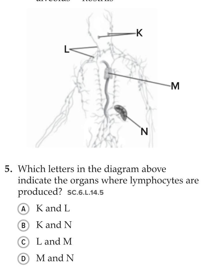 Help pls i dont know-example-1