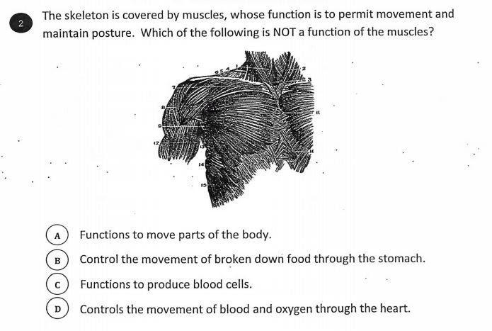 Answer for points, duhhhhh-example-1