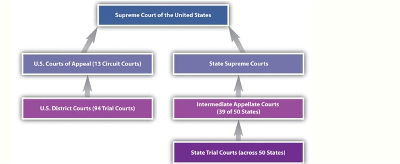 The chart above shows the process by which cases can be appealed to higher courts-example-1