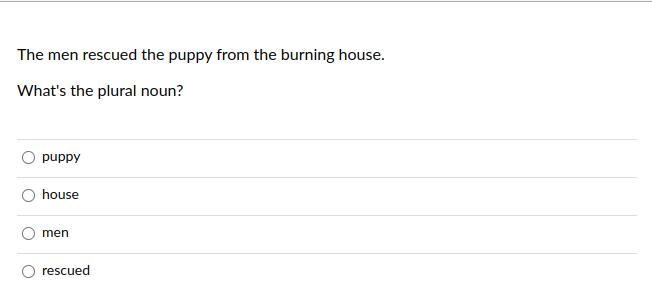 The men rescued the puppy from the burning hosue. what the plural noun-example-1