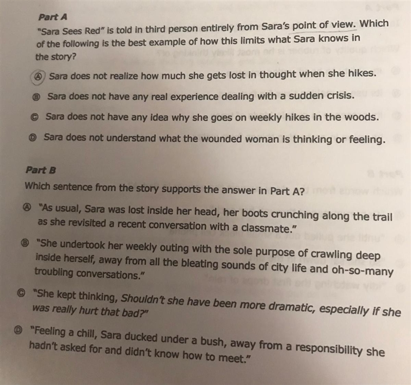 "Sara Sees Red is told in third person entirely from Sara's point of view . Which-example-1