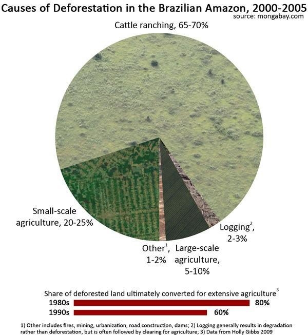 According to the chart, which group is the most responsible for deforestation of the-example-1