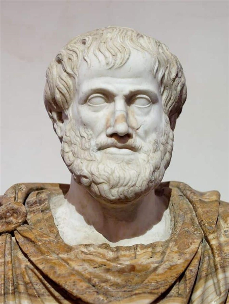 Give me some facts about Aristotle please-example-1