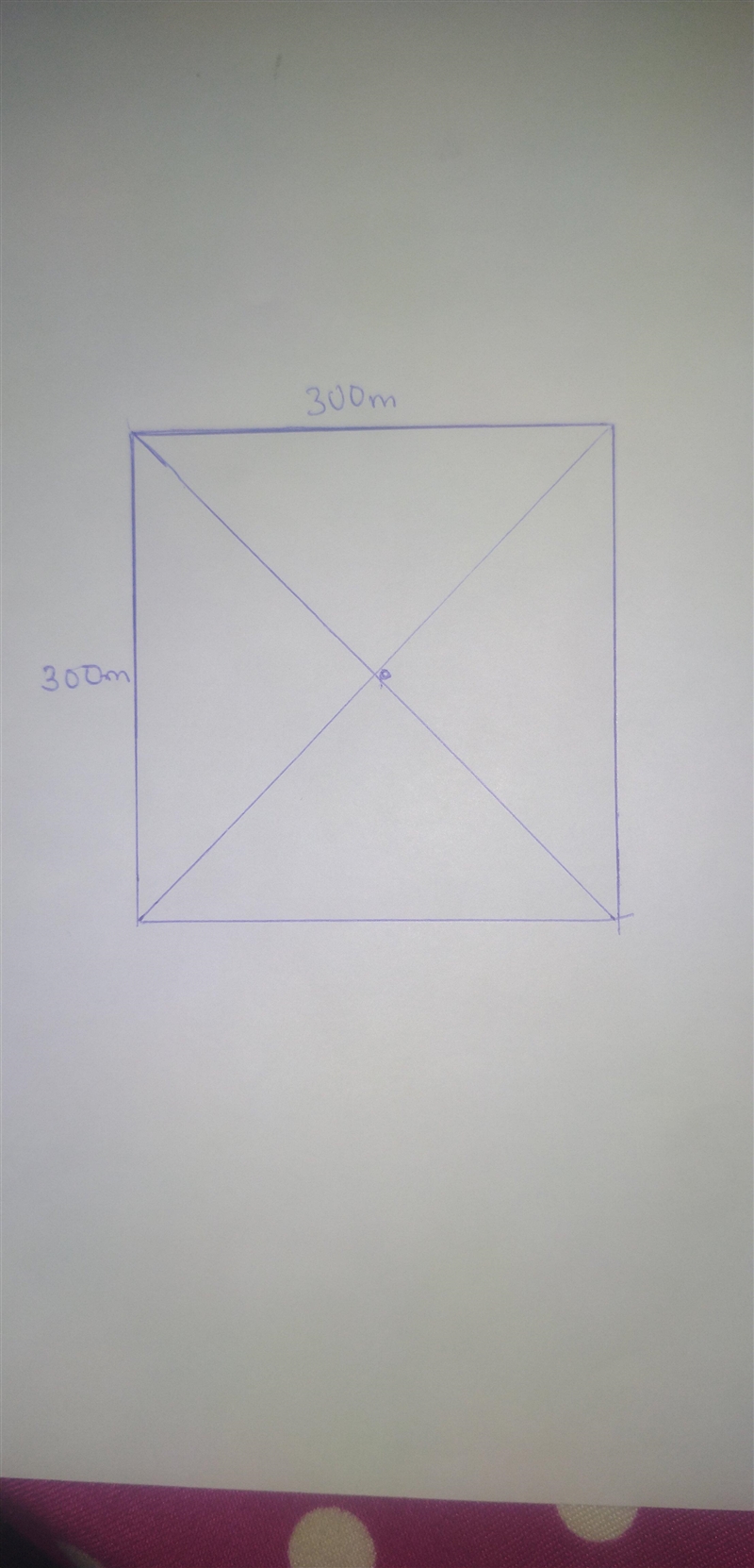 A square field is 300m × 300m. Draw a plan of the field. Find the distance of the-example-1