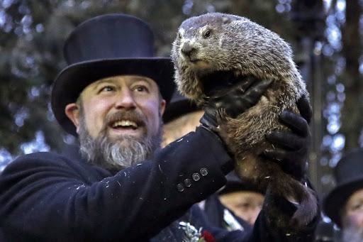 Where does Punxsutawney Phil live?-example-1