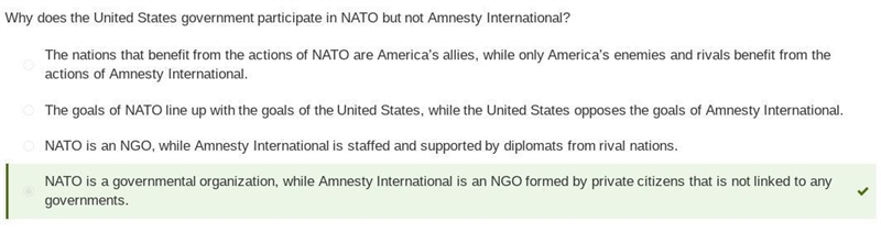 Why does the United States government participate in NATO but not Amnesty International-example-1