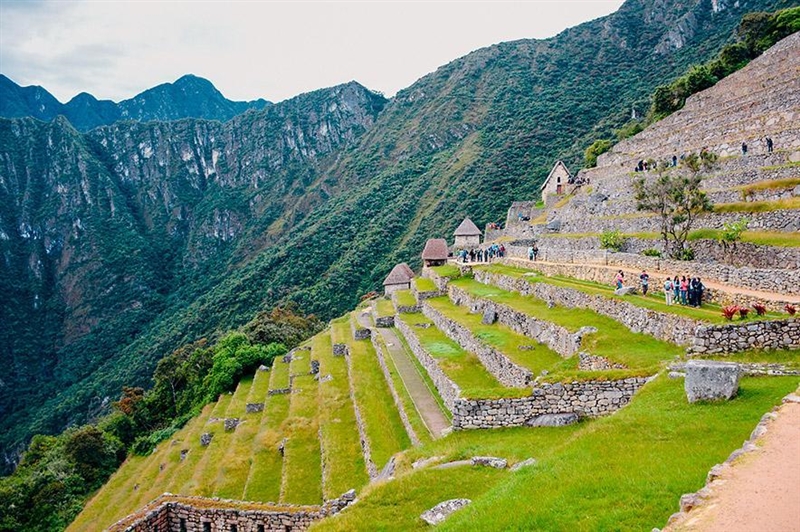 The steep mountains found in South America forced early farmers to A stop growing-example-1