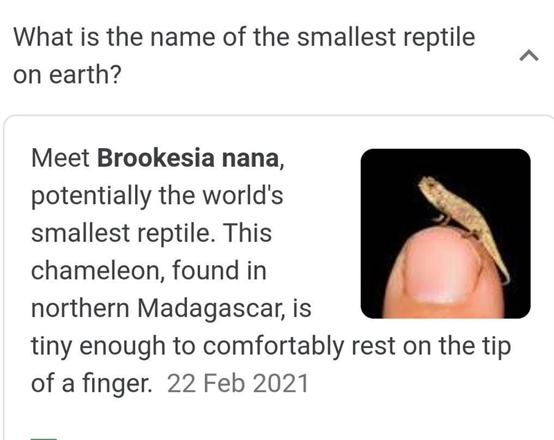 Did you know the world's smallest reptile was first reported in 2021.-example-1