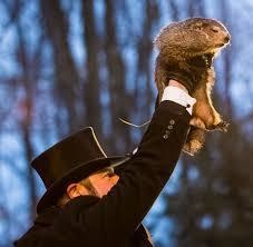 Where does Punxsutawney Phil live?-example-2