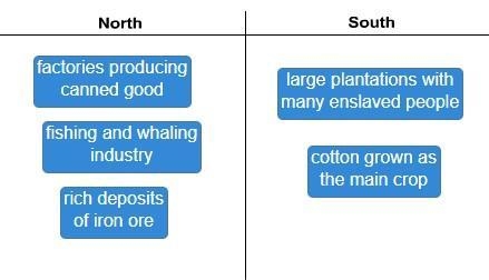 Help me pleaseeee Drag each tile to the correct location. Match each characteristic-example-1