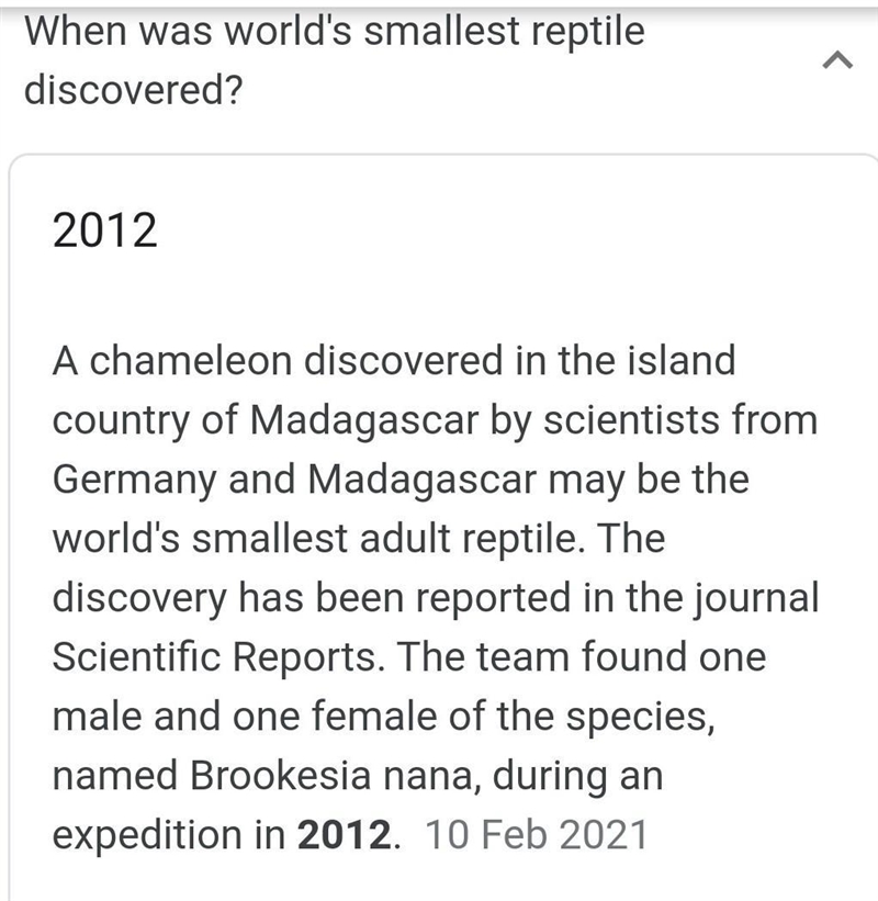 Did you know the world's smallest reptile was first reported in 2021.-example-2