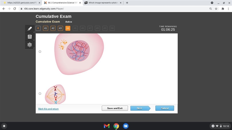 Which image represents cytokinesis in a plant cell?-example-2