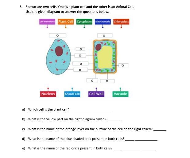 Any help please i need help ! i am running out of time-example-1