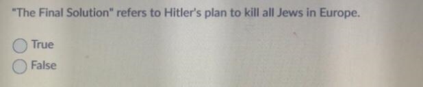 The Final Solution" refers to Hitler's plan to kill all Jews in Europe. True-example-1