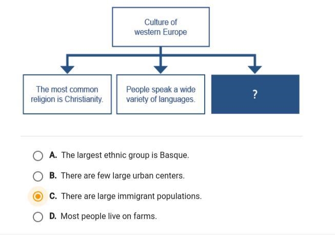 PLEASE HELP MEEEEE!! Which statement best completes the diagram?-example-1