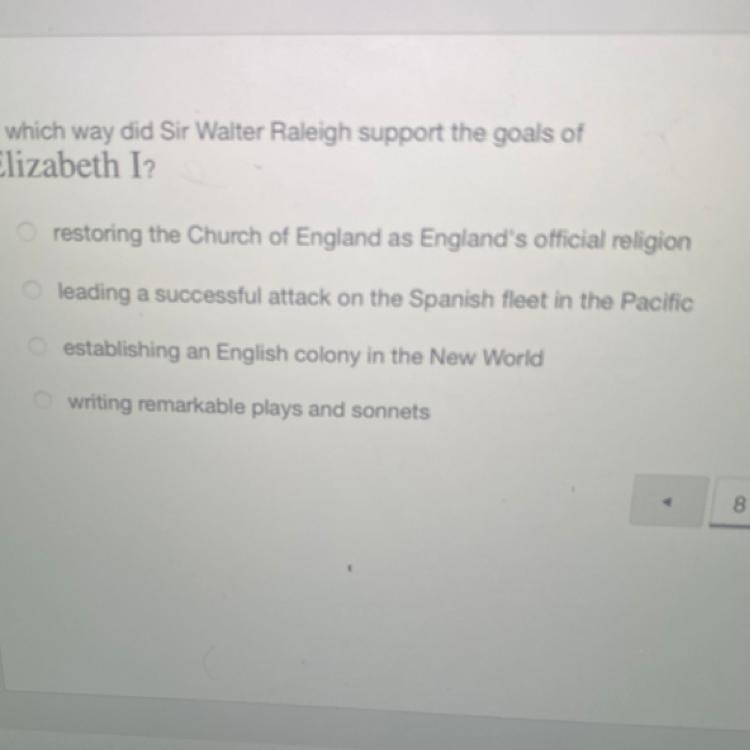 In which way did Sir Walter Raleigh support the goals of Elizabeth I?-example-1