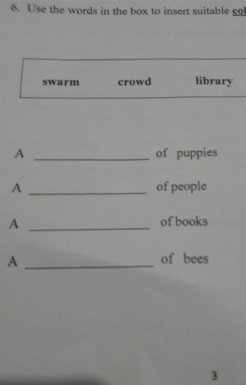 *grammar * Use the words in the box to insert suitable [collective nouns] (swarm crowd-example-1