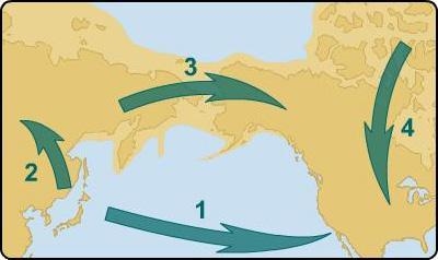 Which numbered route shows the migration of the earliest Americans? 1 2 3 4-example-1