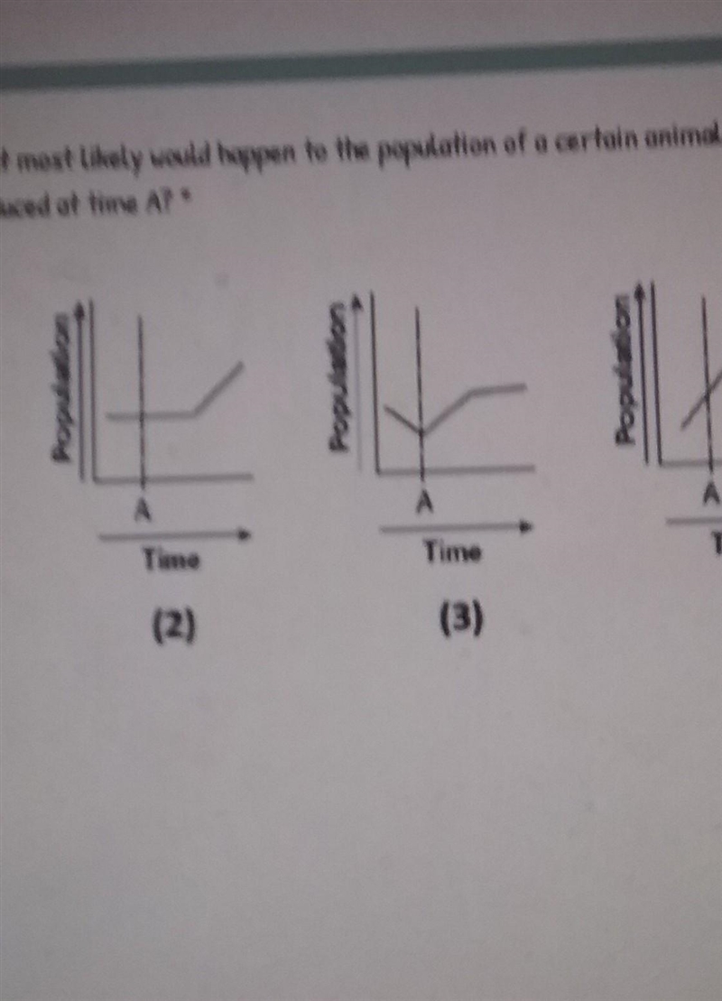 Slsppepeowoekejjekekdisiisos​-example-1