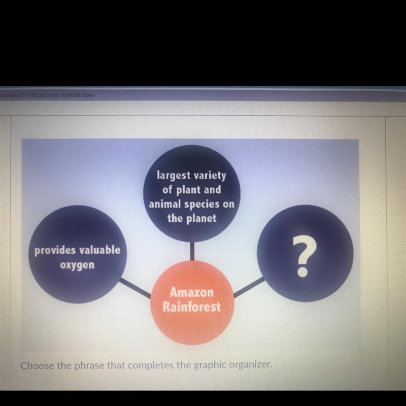 Choose the phrase that completes the graphic organizer. 1 growing due to deforestation-example-1