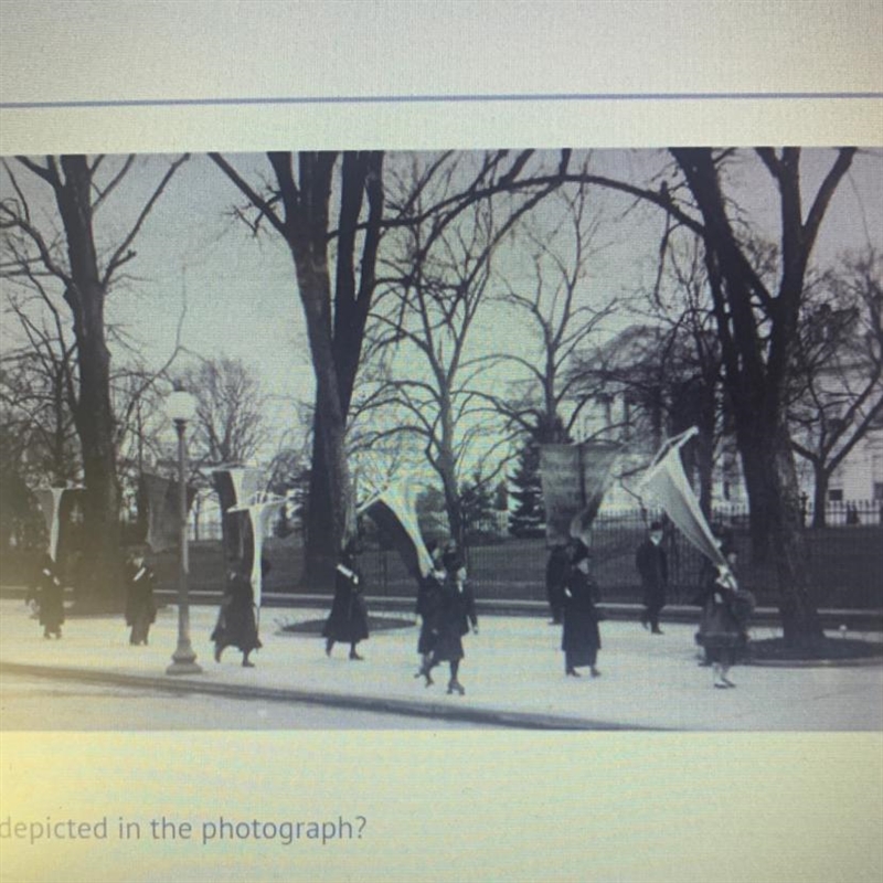 Which First Amendment right is depicted in the photograph? A) right to vote B) freedom-example-1