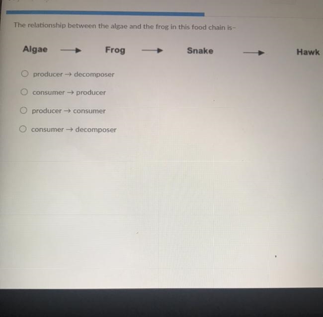 The relationship between the algae and the frog in this food chain is-example-1