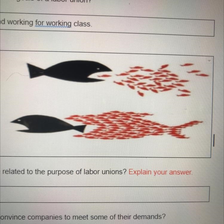 How does this image relate to to the purpose of labor units?-example-1