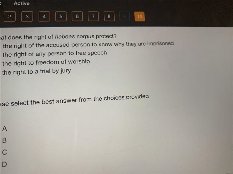 What does the right of habeas corpus protect?-example-1