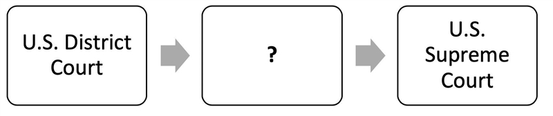 The diagram below shows features of the U.S. court system. A flowchart with three-example-1