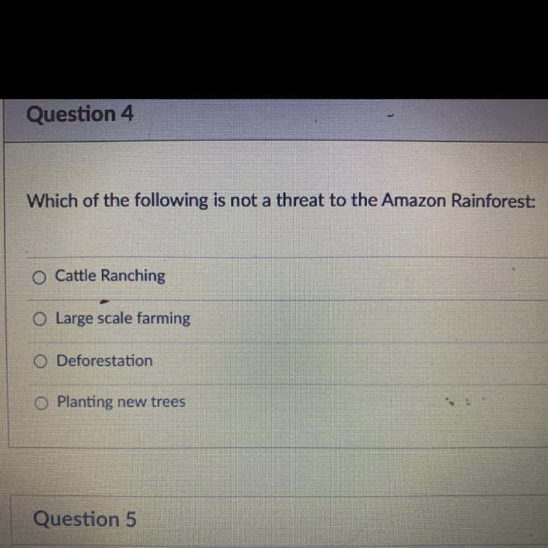 Which of the following is not a threat to the Amazon Rainforest: Cattle Ranching o-example-1