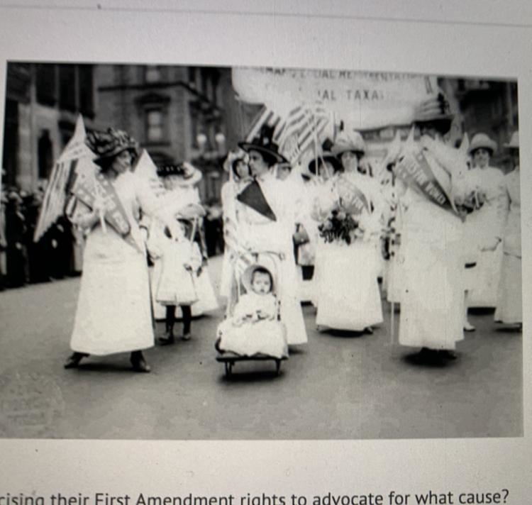 The people in the photo were exercising their First Amendment rights to advocate for-example-1