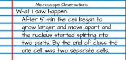 In science class, a student was asked to observe an unknown sample under a microscope-example-1