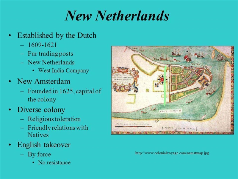 Show an example of diversity in the New Netherlands colony.-example-1